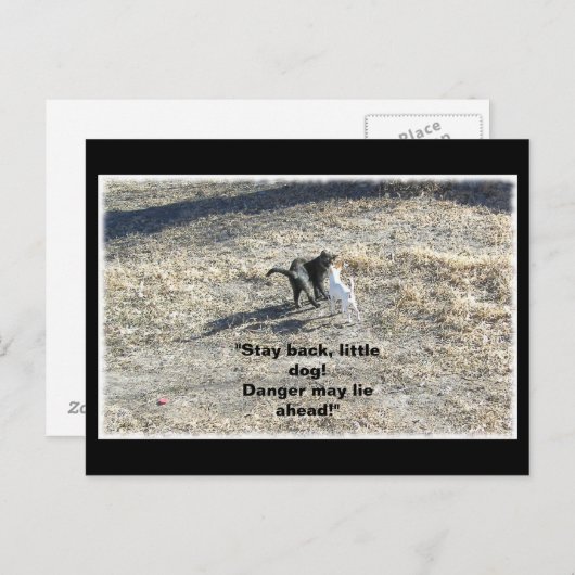 Blijf achter Little Dog Briefkaart (Voorkant / Achterkant)