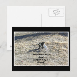 Blijf achter Little Dog Briefkaart