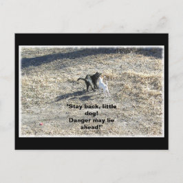 Blijf achter Little Dog Briefkaart