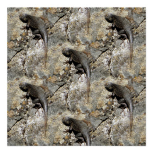 Blijf bij het klimmen.... perfect poster