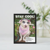 BLIJF COOL! BRIEFKAART (Staand voorkant)