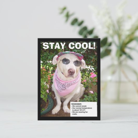 BLIJF COOL! BRIEFKAART (Staand voorkant)