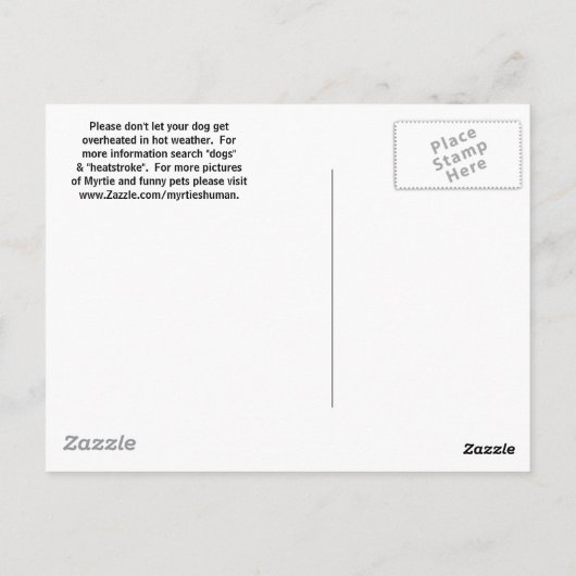 BLIJF COOL! BRIEFKAART (Achterkant)