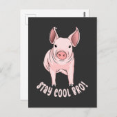 Blijf Cool Bro Funny Pig Briefkaart (Voorkant / Achterkant)