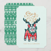 Blijf Cozy | Frans Bulldog Reindekerst Feestdagenkaart (Voorkant / Achterkant)