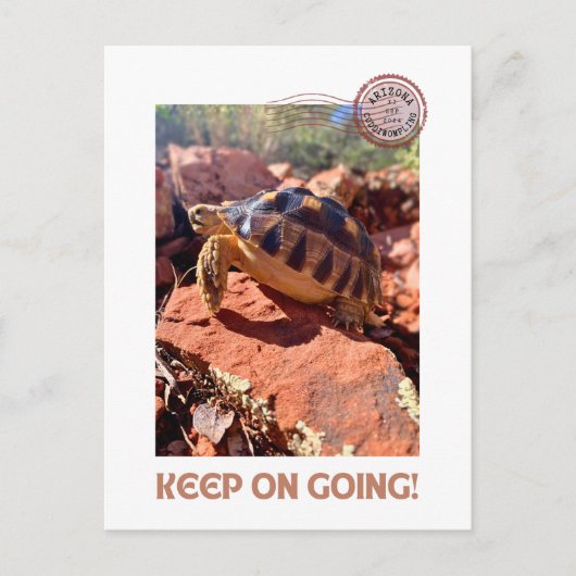 Blijf doorgaan Inspirerend coddiwompling schildpad Briefkaart (Voorkant)