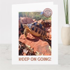 Blijf doorgaan Inspirerend coddiwompling schildpad Kaart