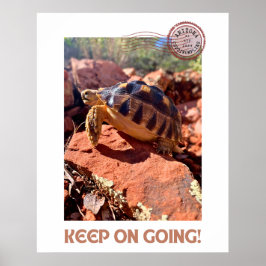 Blijf doorgaan Inspirerend coddiwompling schildpad Poster