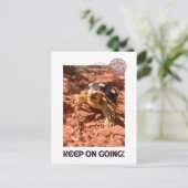 Blijf doorgaan Inspirerend coddiwompling Turtle Briefkaart (Staand voorkant)