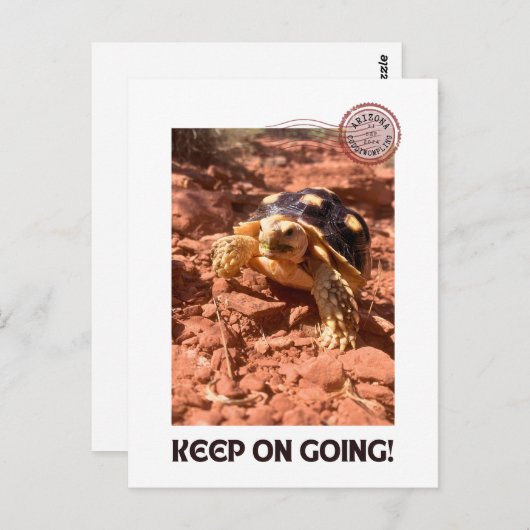Blijf doorgaan Inspirerend coddiwompling Turtle Briefkaart (Voorkant / Achterkant)
