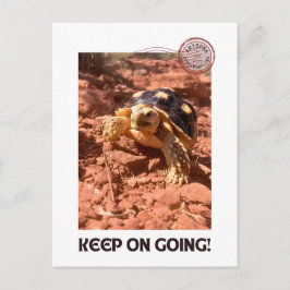 Blijf doorgaan Inspirerend coddiwompling Turtle Briefkaart