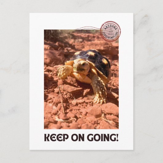 Blijf doorgaan Inspirerend coddiwompling Turtle Briefkaart (Voorkant)