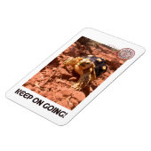 Blijf doorgaan Inspirerend coddiwompling Turtle Magneet (Linkerzijde)