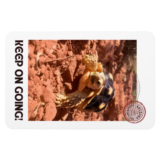 Blijf doorgaan Inspirerend coddiwompling Turtle Magneet (Horizontaal)