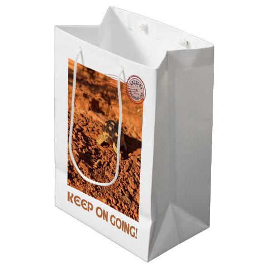 Blijf doorgaan Motivatie coddiwompling schildpad Medium Cadeauzakje (Voorkant Gekanteld)