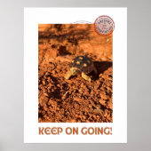 Blijf doorgaan Motivatie coddiwompling schildpad Poster (Voorkant)