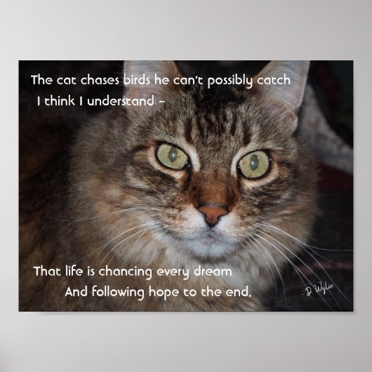 Blijf dromen achtervolgen poster (Voorkant)