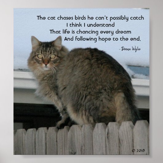 Blijf dromen achtervolgen poster (Voorkant)