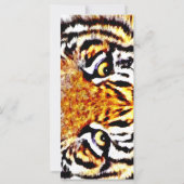 Blijf gefocust, geloof!_ (Achterkant)