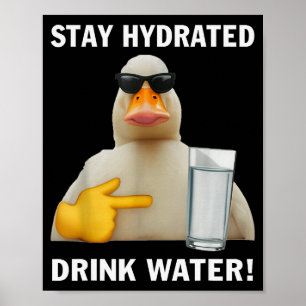 Blijf Gehydrateerd Drink Water Grappige Meme Eend Poster