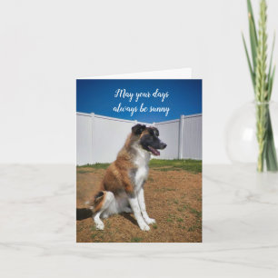 Blijf glimlachen; moge je dagen altijd zonnig zijn kaart