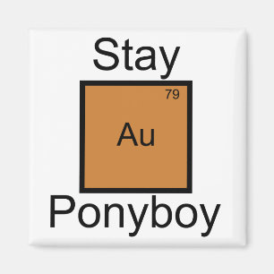 Blijf Gold Ponyboy Element Pun Magneet
