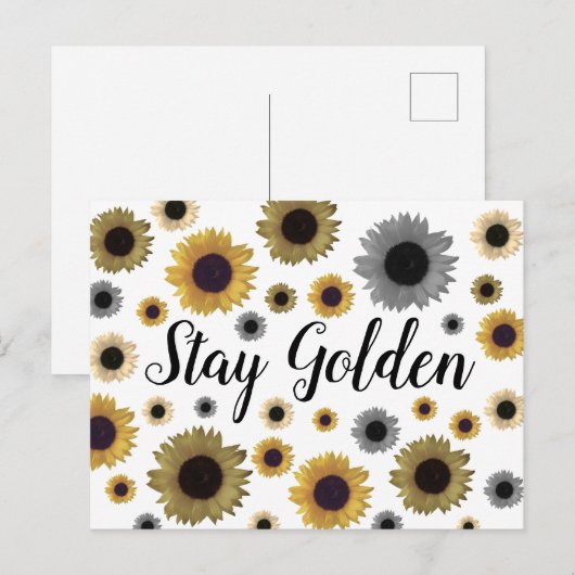 Blijf Golden, zonnebloem Briefkaart (Voorkant / Achterkant)