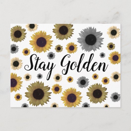 Blijf Golden, zonnebloem Briefkaart (Voorkant)