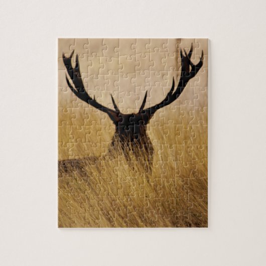 Blijf in de penseel - 8x10 - 110 stuks legpuzzel (Verticaal)