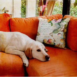 Blijf in Mij, vruchtbaar geloof Kussen