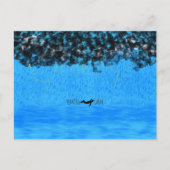 Blijf kalm Briefkaart (Voorkant)