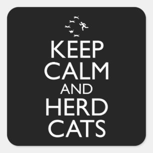 Blijf kalm en kudde katten vierkante sticker