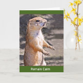 Blijf Kalm Kaart (Gele Bloem)