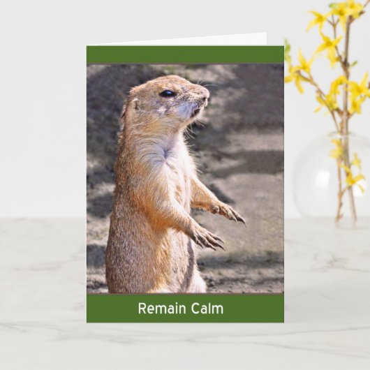 Blijf Kalm Kaart (Gele Bloem)