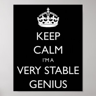 Blijf Kalme Ik Ben Een Zeer Stabiel Genie Grappig Poster