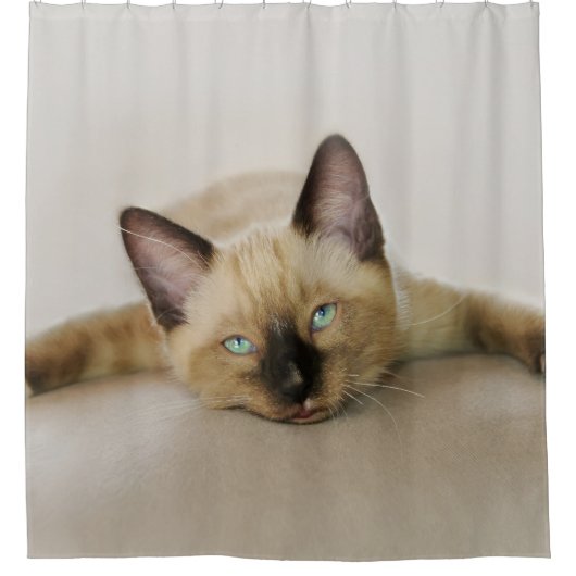 Blijf koel en chill out kitten douchegordijn (Voorkant)