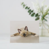 Blijf koel en koude keuten uit. briefkaart (Staand voorkant)