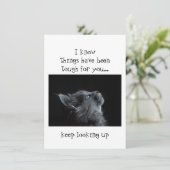 Blijf naar God kijken - Aanmoediging Kat dier Kaart (Staand voorkant)