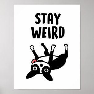 Blijf nog weird Boston Terrier Funny Dog Poster