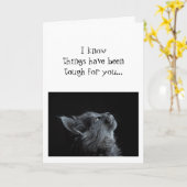 Blijf omhoog kijken naar God Aanmoediging  Kat die Kaart (Gele Bloem)