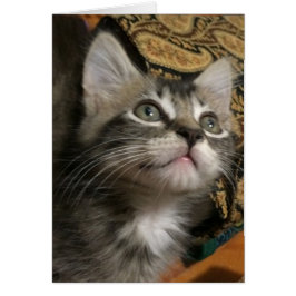 "Blijf op zoek"-kaart