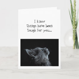 Blijf op zoek naar God bevorderlijke kattedieren Kaart