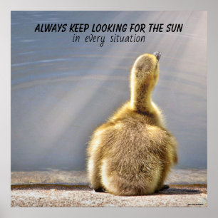 Blijf op zoek naar het Poster van de zon