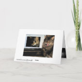 Blijf op zoek naar kaart (Achterkant)