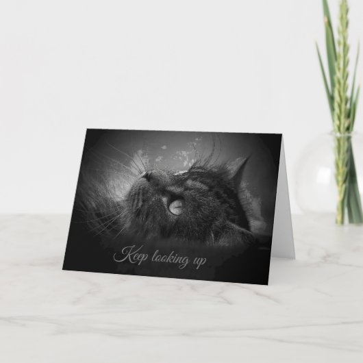 Blijf op zoek naar kaart (Voorkant)