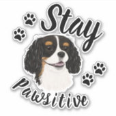 Blijf Pawsitive Tri Cavalier King Charles Sticker (Voorkant)