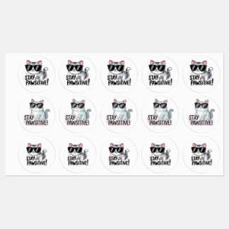 Blijf positief! Schattigee Cat Sticker – Fun en En