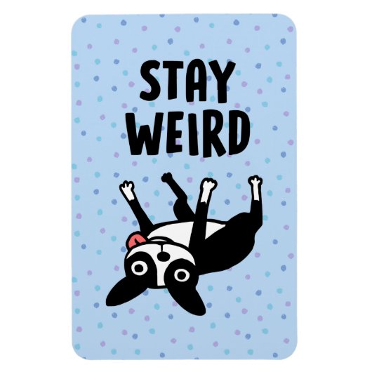 Blijf raar grappige Boston Terrier Dog Magneet (Verticaal)