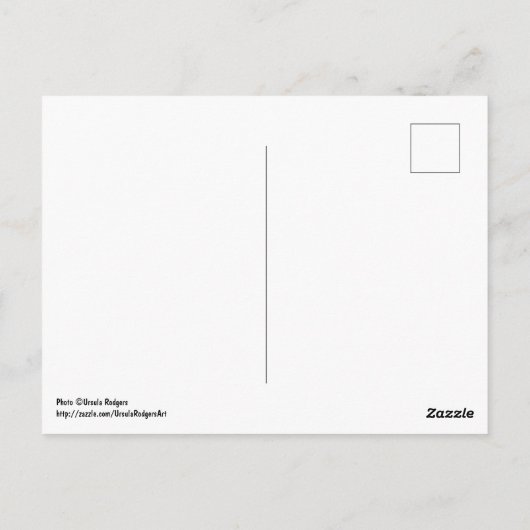 Blijf rustig briefkaart (Achterkant)