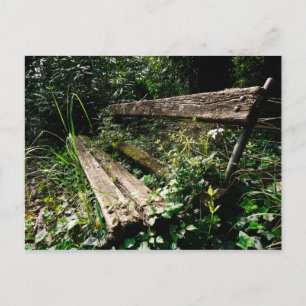 Blijf rustig briefkaart